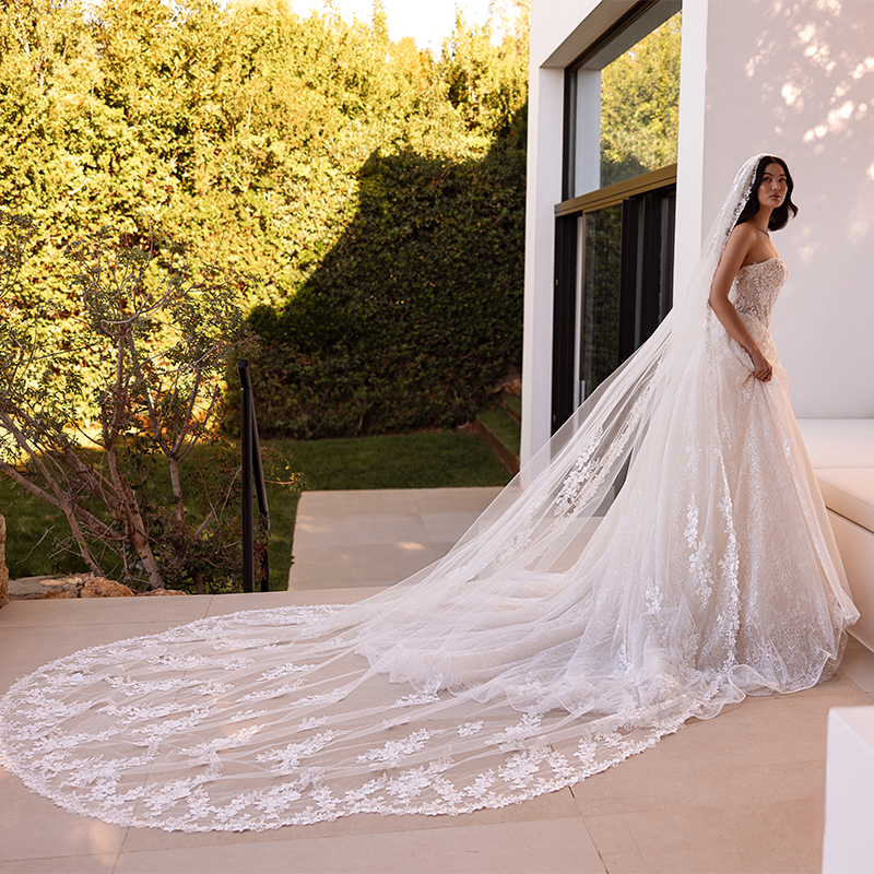 Nos robes romantiques    DP570