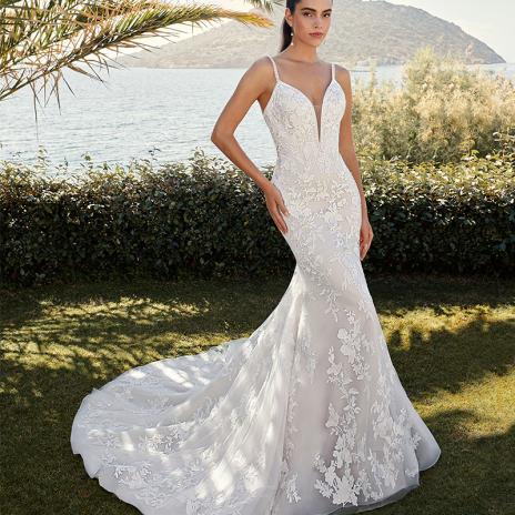Nos robes de mariée  DEMETRIOS  8149 Collioure