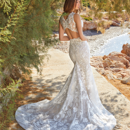 Nos robes de mariée  DEMETRIOS  Esse DR370