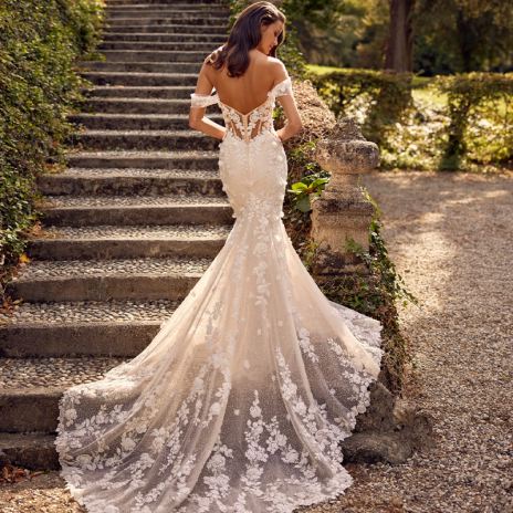 Nos robes de mariée    Ginny